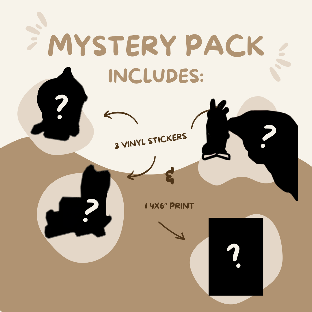 Immigrant Relief Fundraiser Mystery Pack